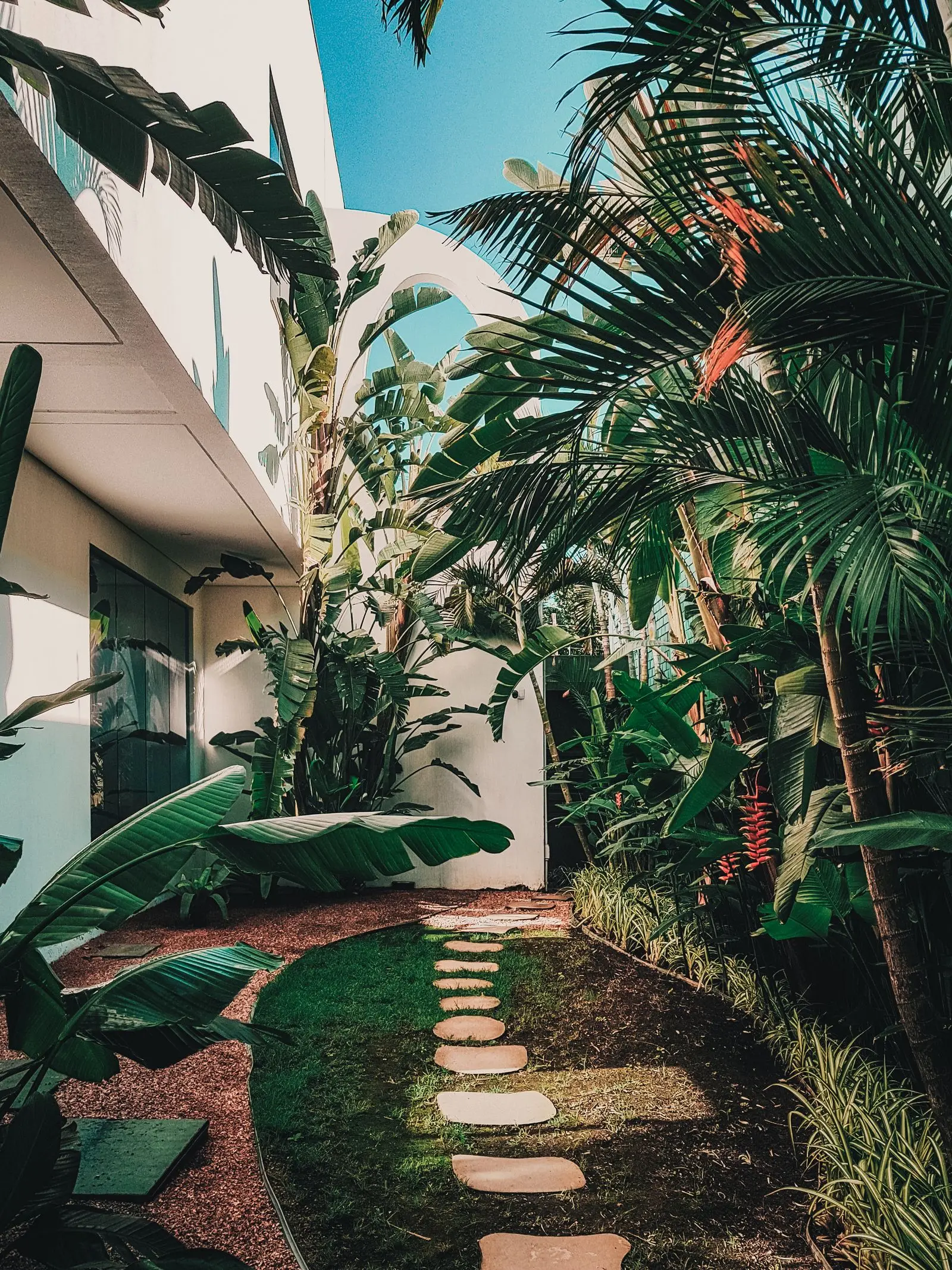 Lush landscaped garden walkway